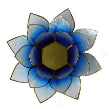 images/productimages/small/12001-12001-2-blauw.jpg