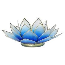 images/productimages/small/12001-blauw.jpg
