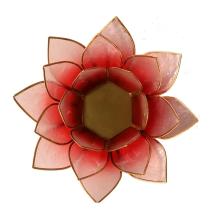 images/productimages/small/12003-12003-2-rood-roze.jpg