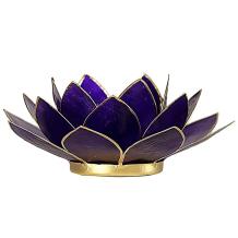 images/productimages/small/12017-lotus-goudrand-violet.jpg