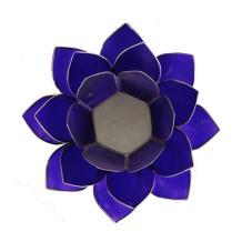 images/productimages/small/12036-12036-2-sfeerlicht-indigo.jpg