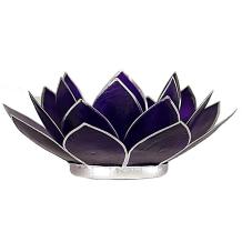 images/productimages/small/12037-lotus-paars.jpg