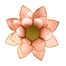 images/productimages/small/12075-12075-2-roze.jpg