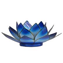 images/productimages/small/12077-donkerblauw.jpg