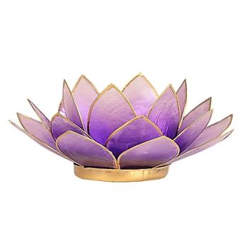 Lotus sfeerlicht roze lichtroze goudrand art nr 12004