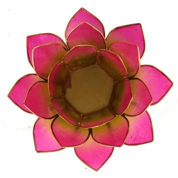 Lotus sfeerlicht paars roze 2-kleurig art nr 12079