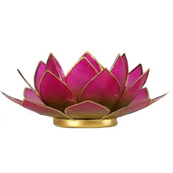 Lotus sfeerlicht paars roze 2-kleurig art nr 12079