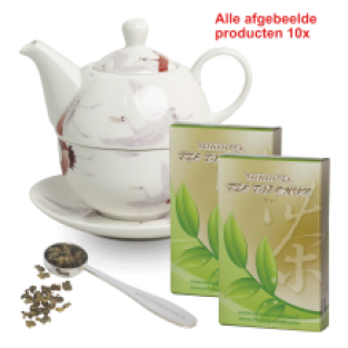 Relatiepakket Tea-for-One Kraanvogels Code 100
